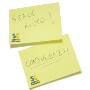 Consulenza Scriptcase